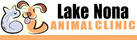 Lake Nona Animal Clinic